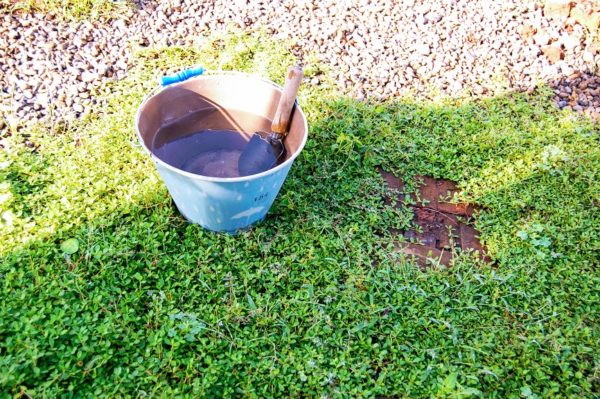 雨水を貯める