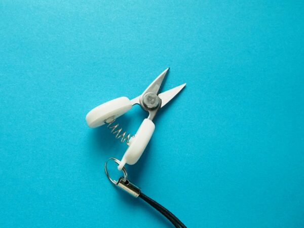 ダイソー小さいハサミ（超小型ハサミ）のサイズ感と切れ味