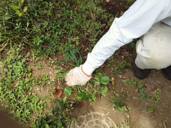 しゃがんで草むしりがつらい
