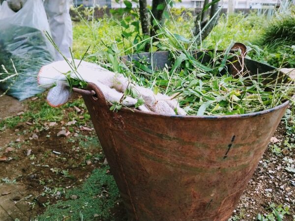 しゃがんで草むしりがつらい