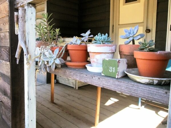 プラダンで作るミニ温室