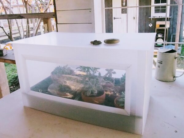 プラダンで作るミニ温室