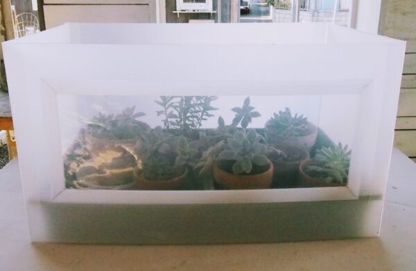 プラダンで作るミニ温室