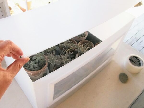 プラダンで作るミニ温室