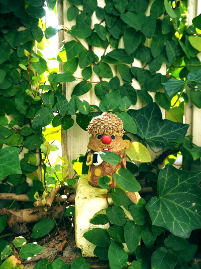 庭に植えたら危険な植物