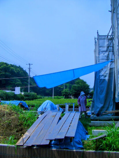 ブルーシートは日よけタープになる