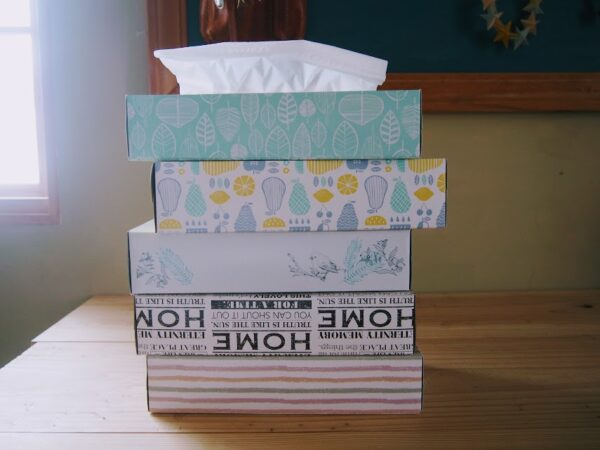 ティッシュの空き箱工作