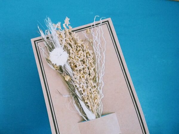 ドア代わりのロールスクリーン取り付けてみた