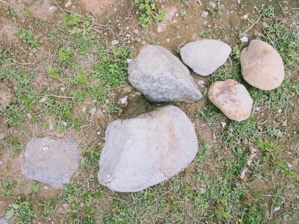 庭から出てきた石の活用