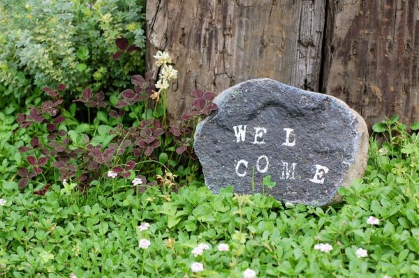 庭から出てきた石の活用