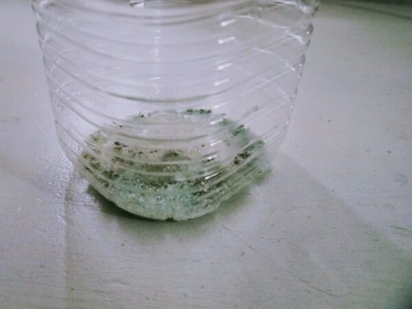 ウッドロングエコの水溶液をペットボトルで作ってみた