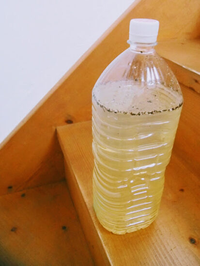 ウッドロングエコの水溶液をペットボトルで作ってみた