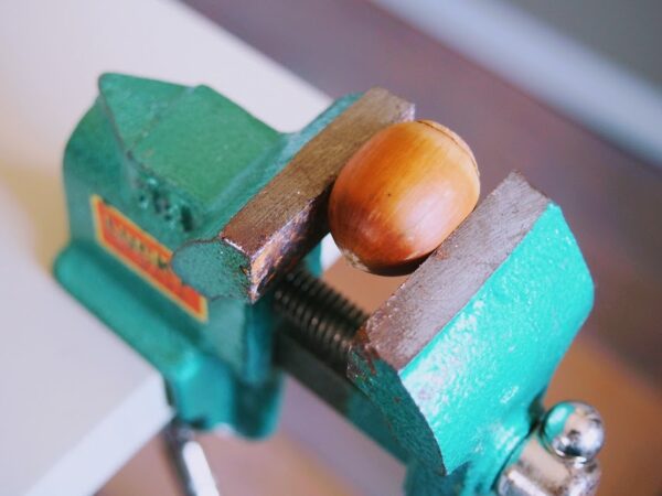どんぐりリースの作り方（どんぐりに穴を開ける）