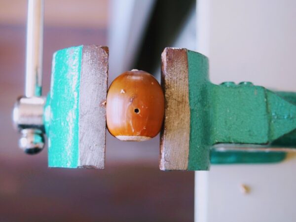 どんぐりリースの作り方（どんぐりに穴を開ける）